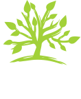 Local Tourism Network
